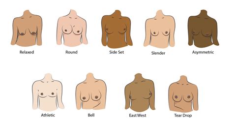 boob lineup|Breast Shape Dictionary – Finding Your Breast Shape & Type